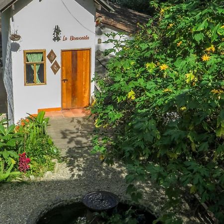 Finca Los Abuelos - La Planta Concepcion Kültér fotó